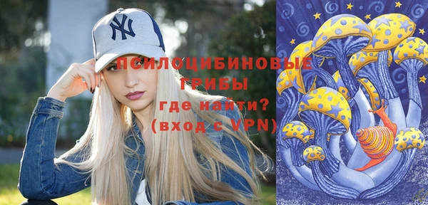гидра Кодинск