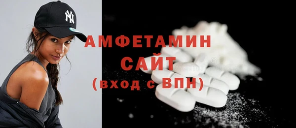 гидра Кодинск