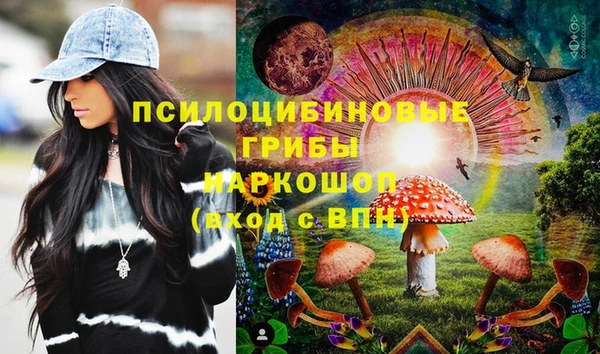 гидра Кодинск