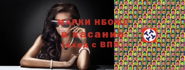 гидра Кодинск