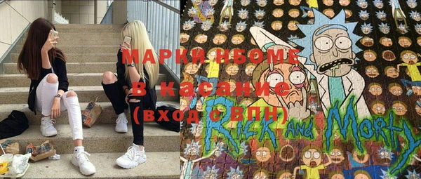 гидра Кодинск