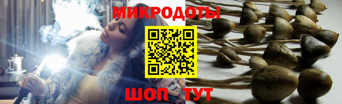 Псилоцибиновые грибы Cubensis  Псилоцибиновые грибы GOLDEN TEACHER  Севастополь  Вход с VPN 